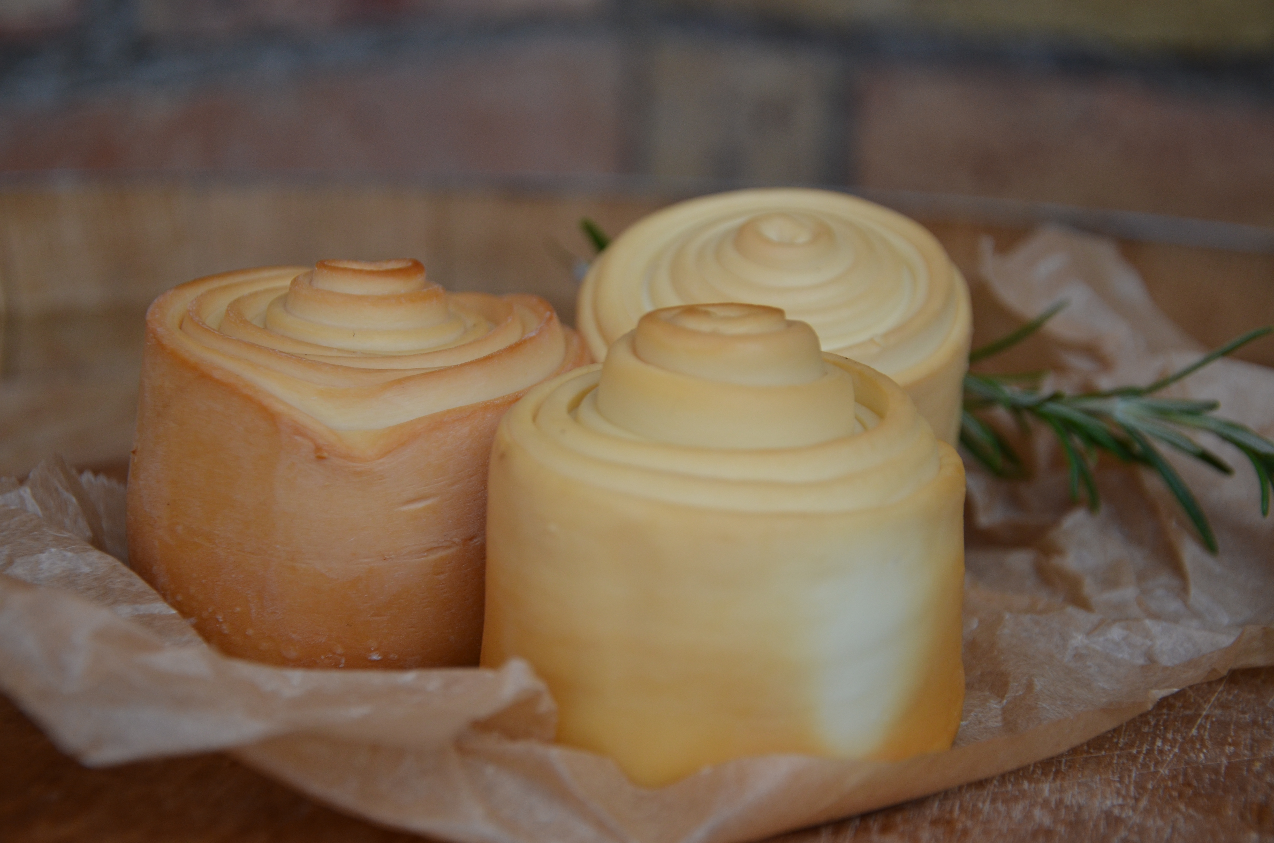 Parenyica csiga3.JPG